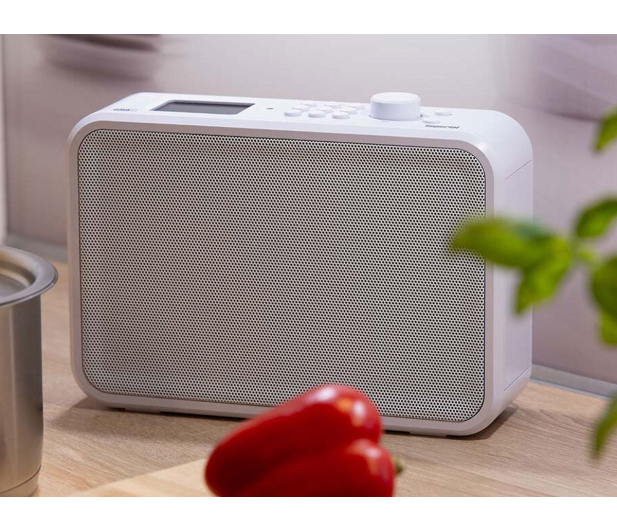 IMPERIAL Imperial DABMAN i460 Multifunctional Radio White-Silver - 1535027 - zdjęcie 7
